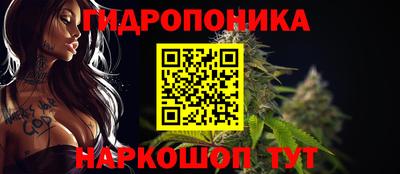 ГАЛЛЮЦИНОГЕННЫЕ ГРИБЫ Ставрополь
