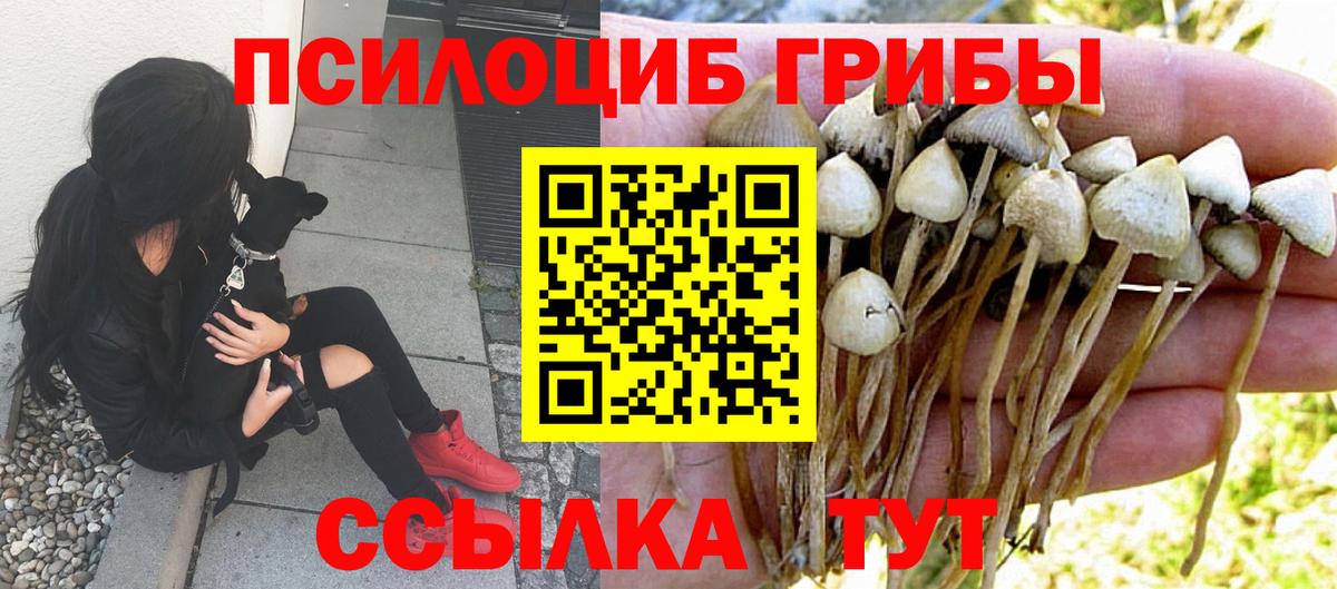 Октябрьский  Галлюциногенные грибы прущие грибы  Вход с VPN  Псилоцибиновые грибы MAGIC MUSHROOMS 