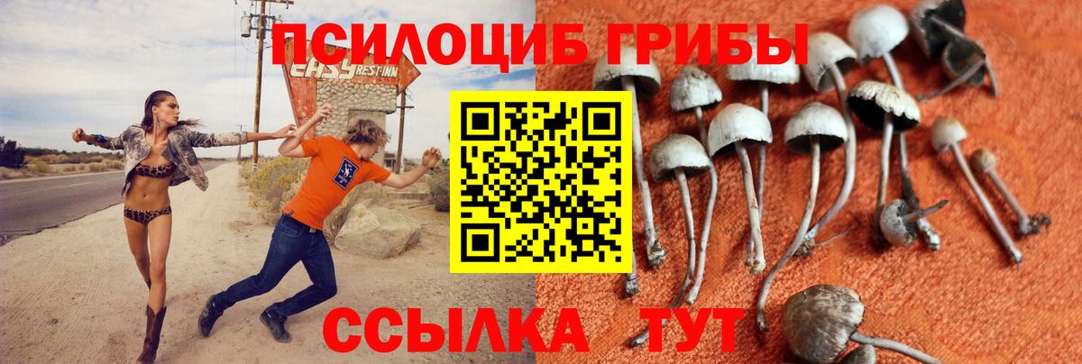 Галлюциногенные грибы Magic Shrooms Октябрьский